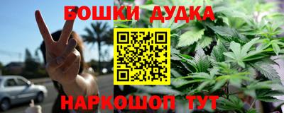 spice Обь