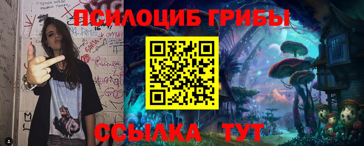 Псилоцибиновые грибы прущие грибы Тулун